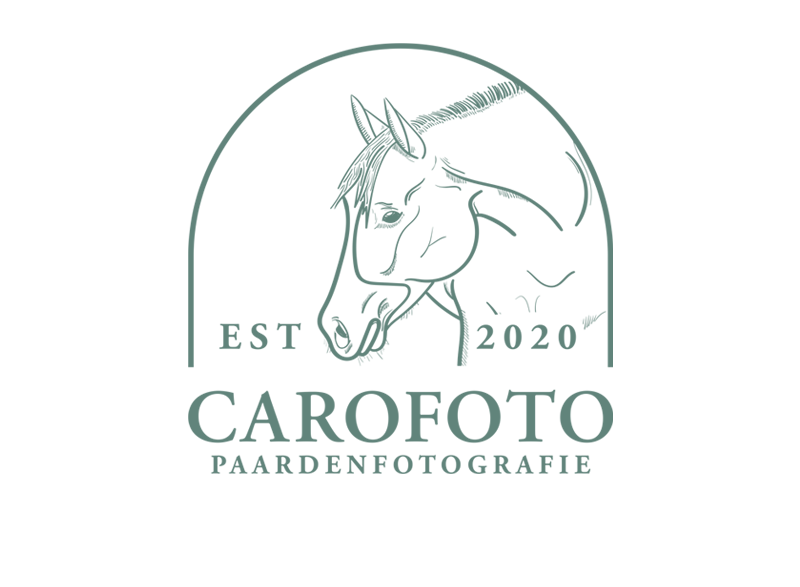 logo ontwerp van de maand