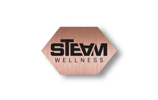 logo ontwerp voor wellness te Waregem