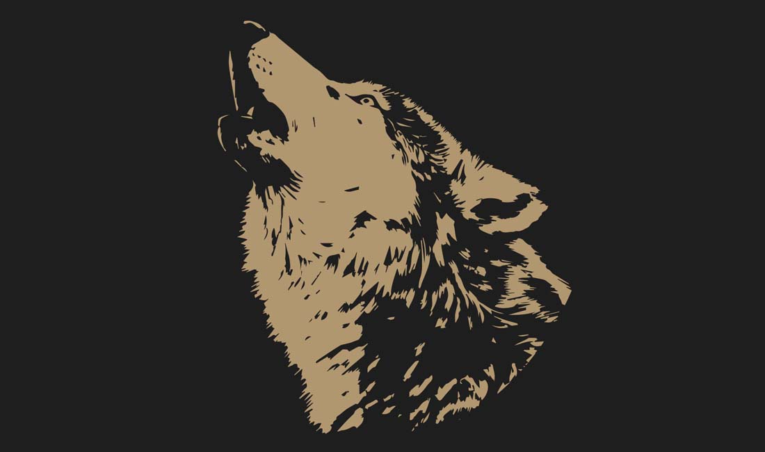 Logo ontwerpen voor website