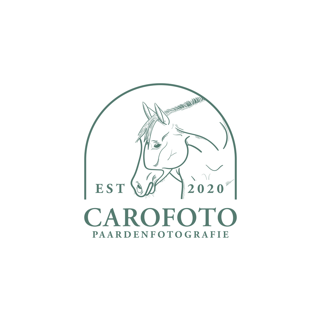 paarden logo